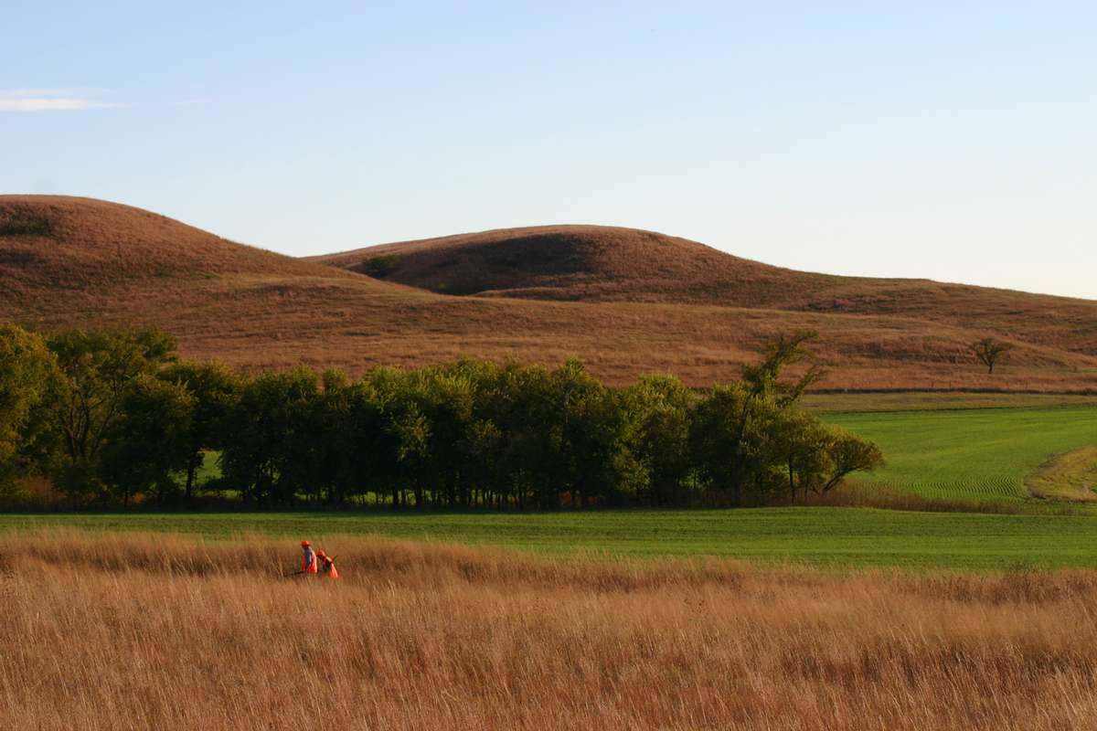 Blue Hills in Kansas